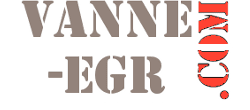 logo Vanne-EGR.com